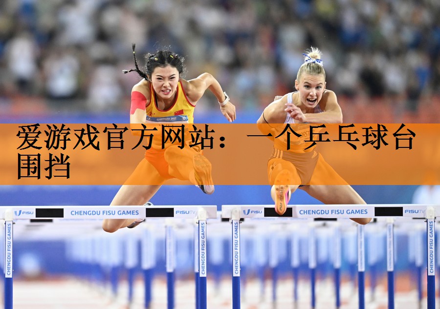 一个乒乓球台围挡